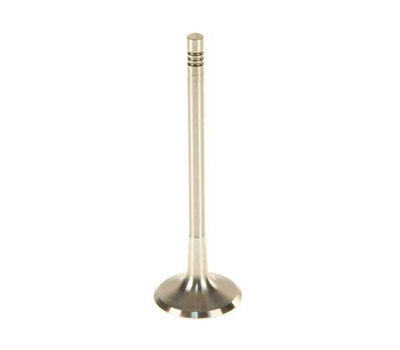 Intake Valve - VW/Audi 2.5L / Rabbit / Jetta / Golf / Beetle / Passat