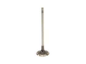 Intake Valve - MINI Cooper / N14 / S / JCW / R55 / R56 / R57