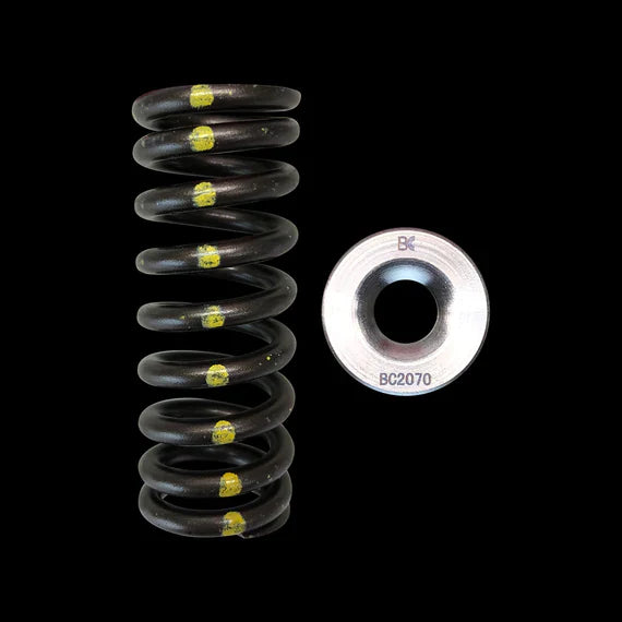 Brian Crower Honda D16Y8/D16Z6 Single Spring & Titanium Retainer Kit