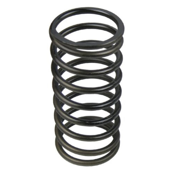 Black Tial BOV Spring