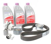 Audi Timing Belt Kit - INA CEBATBKIT1