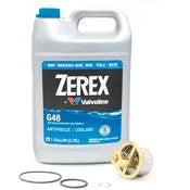 BMW Thermostat Replacement Kit - 11531318274KT1