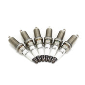 BMW Spark Plug Kit (Set of 6) - 12122158253KT1