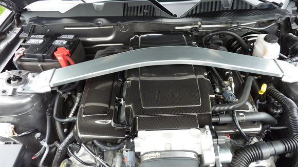 CARBON FIBER Engine Plenum Cover Ford/Mustang 2005-2010