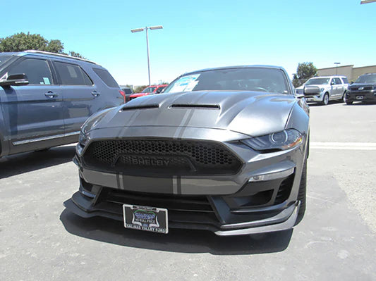 Front License Plate For 2018-2023 Ford Mustang Shelby Super Snake (SNS135d)