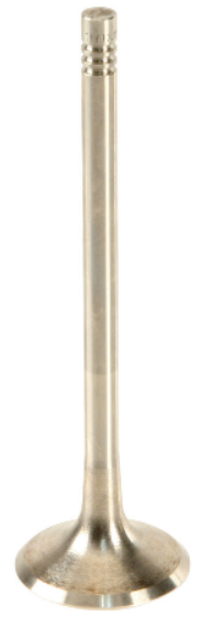 VW Exhaust Valve - TRW 022109611AA