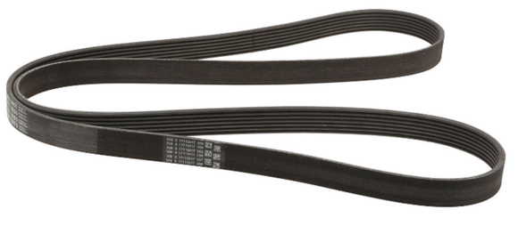 BMW Serpentine Belt - Continental 7PK1855