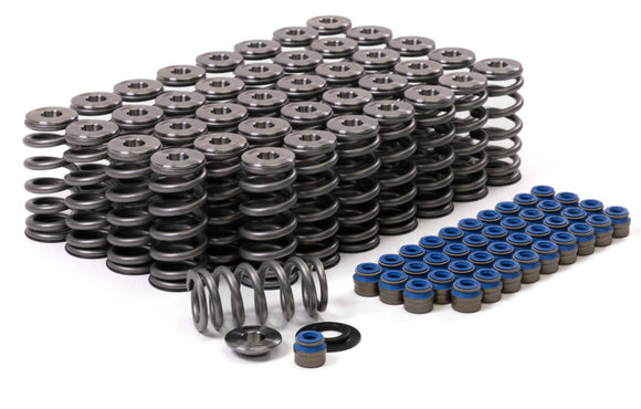 GSC Power-Division Valve Spring & Ti Retainer Kit: Audi R8 V10