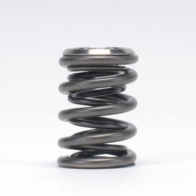 Skunk2 Alpha Series Honda/Acura B Series Valve Spring and Titanium Retainer Kit - 0
