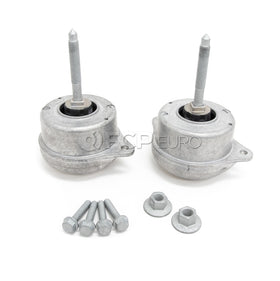 Porsche Engine Mount Kit - VNE 4009614KT