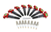 thumbnail image 2 of BERU Ignition Coil ZSE042 – Fits Porsche Cayenne 08-16 V8 & Panamera 10-16 V8/V6 2 of 4