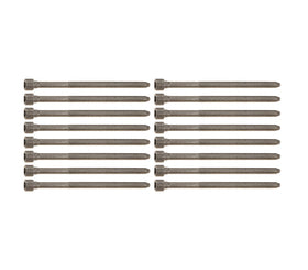 Complete Cylinder Head Bolt Set - VW/Audi / 3.2L V6 / 3.0T / B7 / B8 / A4 / A5 / S4 / S5 / & More