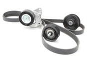 Mercedes Drive Belt Kit - INA 272273BELTKT1