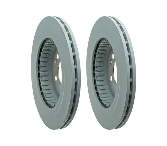 Rear Rotor Set (300x22mm) - Mercedes / C300 / C400