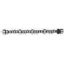 Edelbrock SBC LT1 Roller Cam-1