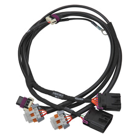 EDELBROCK Pro-Flo 4+ EFI Ignition & Engine Position Harness Chevy LS 24x Crank/Cam