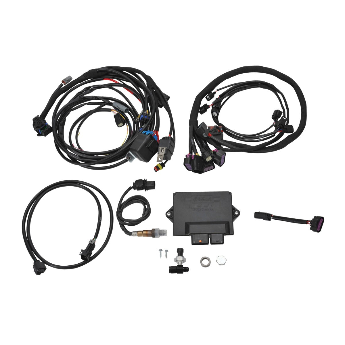 EDELBROCK Pro-Flo 4+ EFI Engine Management System for Chevy Gen III/IV LS