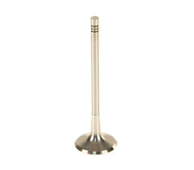 Intake Valve - VW/Audi 2.5L / Rabbit / Jetta / Golf / Beetle / Passat