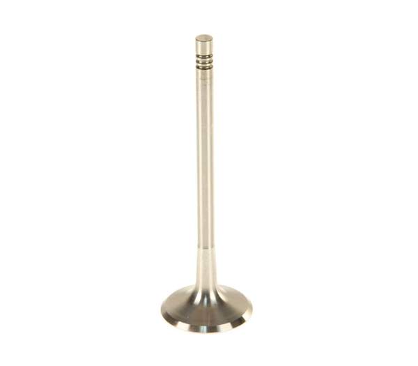 Intake Valve - VW/Audi 2.5L / Rabbit / Jetta / Golf / Beetle / Passat