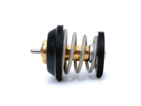 Thermostat - VW/Audi 2.0T TSi (Many Models Check Fitment)