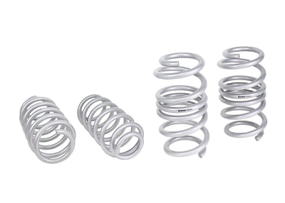 Whiteline Tesla Model 3 RWD 17-26; Lowered Front and Rear Lower Coil Spring Lowering Kit - 0