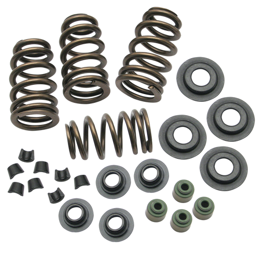 S&S Cycle 04-19 XL Valve Spring Kit - .650in