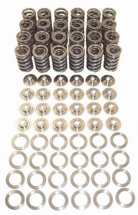 Valve Spring Kit With Titanium Retainers By Techtonics | 24v VR6