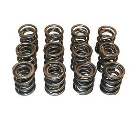 Techtonics High-Lift Valve Springs For 12v VR6 (Set Of 12) - For 288 To 316 Cams