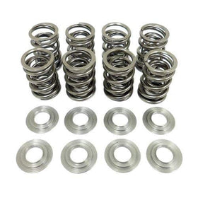 Techtonics Heavy-Duty Dual 8V Valve Springs Upgrade Kit - VW / 2.0L 8V / Mk3 / Mk4 /Mk6 | 109_084A