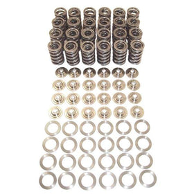 Techtonics 24v VR6 3.6L Valve Spring kit w/Titanium Retainers | 109-086L