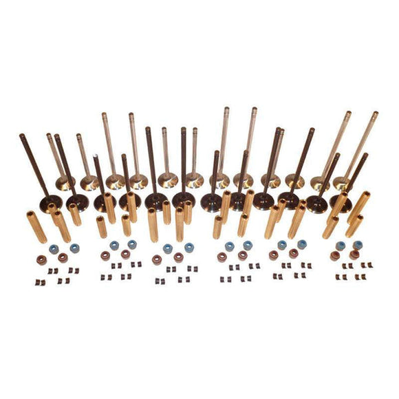 Valve Kit - High Flow Valves By Techtonics | 3.2L | 3.6L VR6