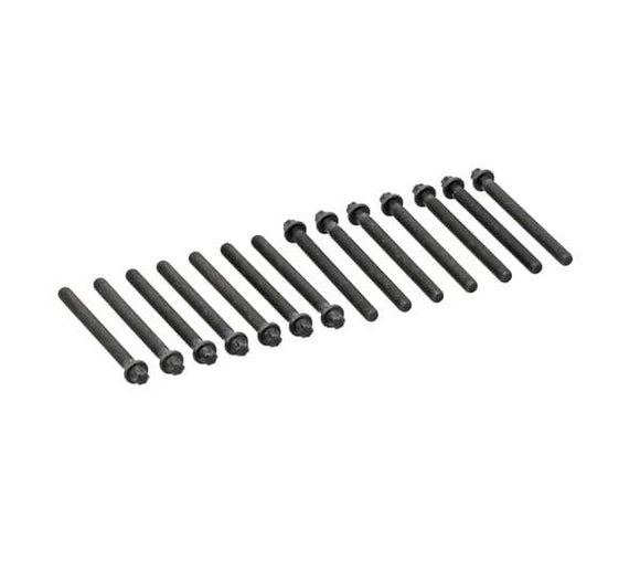 Cylinder Head Bolt Set (14) - BMW M54 2.5L & 3.0L