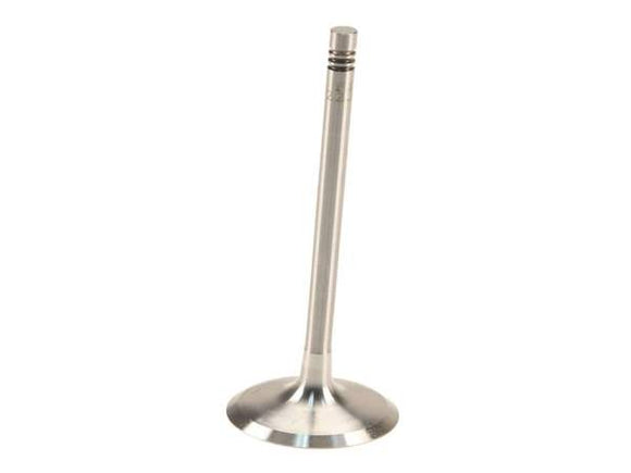 Intake Valve - BMW N55 / N20