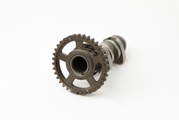 Hot Cams 10-16 CRF 450 R Single Cam Camshaft - Stage 2