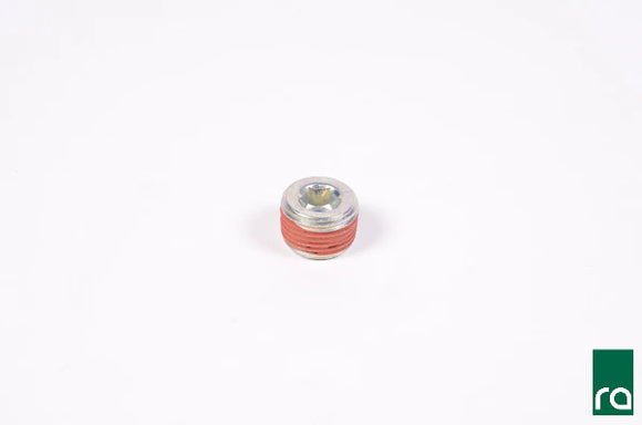 Radium Engineering 3/8in NPT Plug