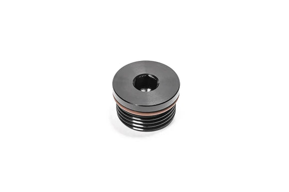 Radium Engineering 12AN ORB Plug