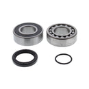 All Balls Racing Drive Jackshaft Bearing Seal-1