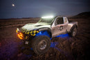 Rigid Industries Rock Light Kit- Blue (4 lights)-2