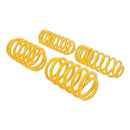 Muscle Car Springs  73-79 Chevrolet Malibu, Monte Carlo, El Camino / Buick Skylark, Regal, Laguna, Tempest, Lemans-4