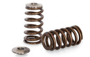 KELFORD NISSAN RB25 NEO BEEHIVE SPRING AND TI RETAINER SET-1