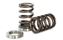 KELFORD NISSAN RB25 RACE SPRING AND SEAT SET-1