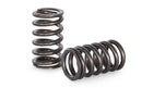 KELFORD 4AGE 16V VALVE SPRINGS (PACALOY)-1