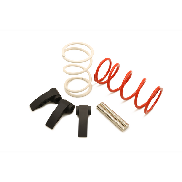 Dynojet 22-24 Polaris RZR Pro R Clutch Kit