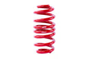 APR Roll-Control Lowering Springs - Audi RS3 8Y (2.5T)-2