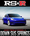 RS-R DOWN SUS LOWERING SPRINGS: 2017+ TESLA MODEL 3-1