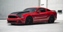 Anderson Composites 2013-2014 Ford Mustang Type-CJ Carbon Fiber Cowl Hood-6