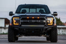 Addictive Desert Designs 17-18 Ford F-150 Raptor HoneyBadger Front Bumper-3