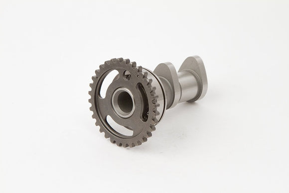 Hot Cams 04-10 KX 250 F/04-06 RM-Z 250 Intake Camshaft - Stage 1