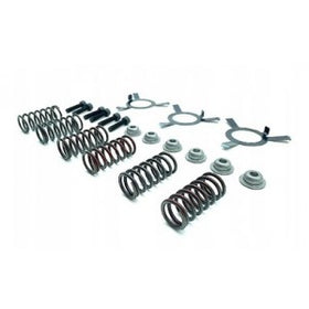 Spring Set - BMW-Motorrad (21217724789)
