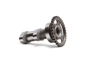 Hot Cams 10-18 RM-Z 250 Intake Camshaft - Stage 2